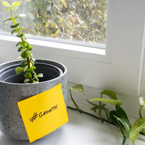 A small plant grows inside a vase. The vase has a sticky note with the word "Growth."