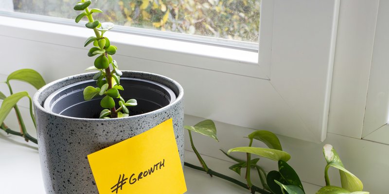 A small plant grows inside a vase. The vase has a sticky note with the word "Growth."